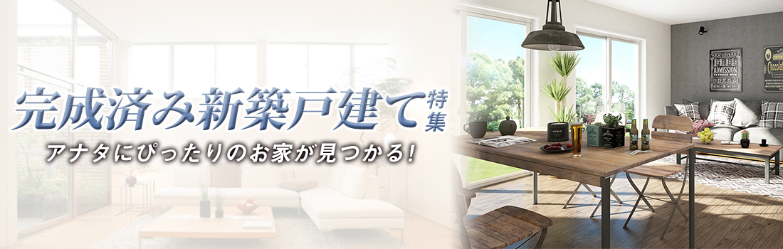 完成済み新築戸建て特集
